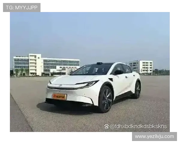 南京足球队在洲际杯中的团队协作表现值得称赞与反思的深度分析