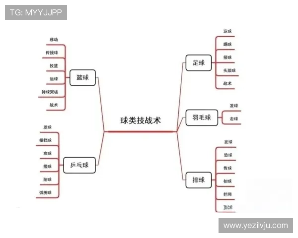成都篮球队总决赛速度表现分析与战术探讨